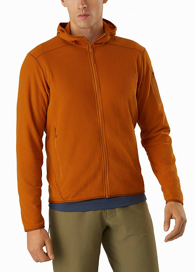 Куртка мужская Arcteryx Delta Lt Hoody Timbre - Фото 2 большая