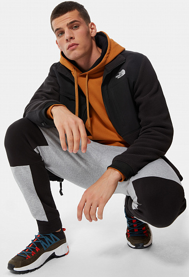 Куртка мужская The North Face Denali 2 Tnf Black - Фото 4 большая