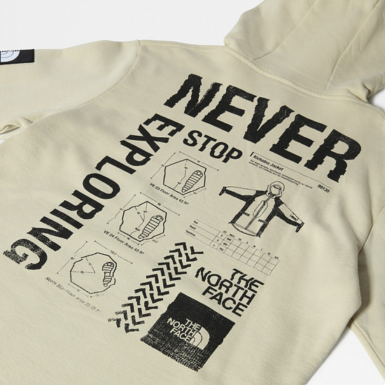Толстовка мужская The North Face Galahm Graphic Hoodie Gravel - Фото 5 большая