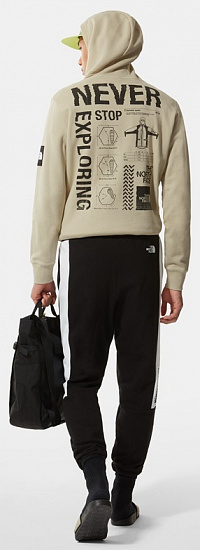 Толстовка мужская The North Face Galahm Graphic Hoodie Gravel - Фото 11 большая