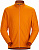 Куртка мужская Arcteryx Delta LT Wildchild - Фото 1 малая