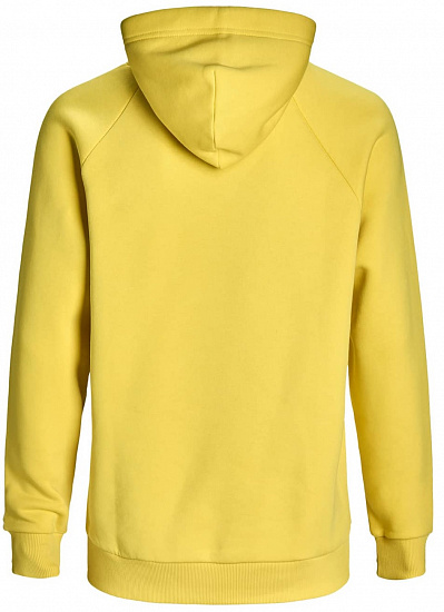 Толстовка мужская Peak Performance Seasonal Patch Hoody Citrine - Фото 3 большая