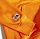 Толстовка мужская The North Face Himalayan Bottle Source Po Hoodie Light Exuberance Orange - Фото 10 малая