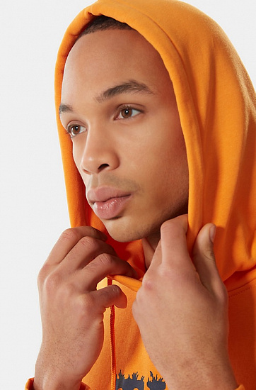 Толстовка мужская The North Face Himalayan Bottle Source Po Hoodie Light Exuberance Orange - Фото 7 большая