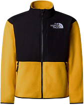 Куртка детская The North Face Denali Summit Gold
