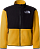 Куртка детская The North Face Denali Summit Gold - Фото 1 малая