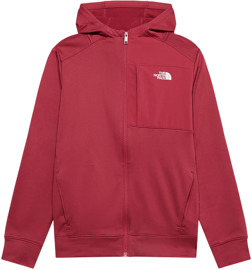 Куртка флисовая детская The North Face TNF Performance Fleece FZ Hooded Fermented Clay - Фото 1 большая