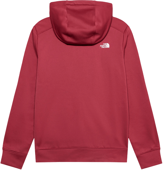 Куртка флисовая детская The North Face TNF Performance Fleece FZ Hooded Fermented Clay - Фото 2 большая