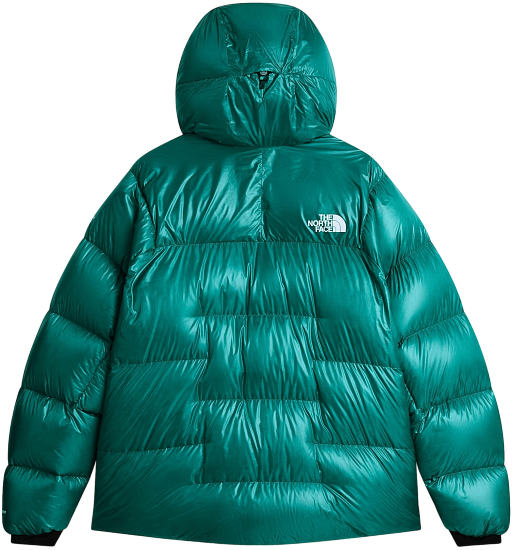 Куртка мужская The North Face Pumori Down Restorative Tea - Фото 2 большая
