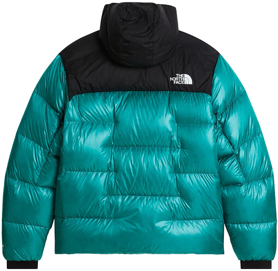 Куртка мужская The North Face Summit Nuptse Restorative Teal/Tnf Black - Фото 2 большая