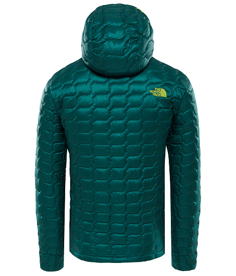 Куртка мужская The North Face ThermoBall Pro Hoodie Botanical Garden Green - Фото 2 большая