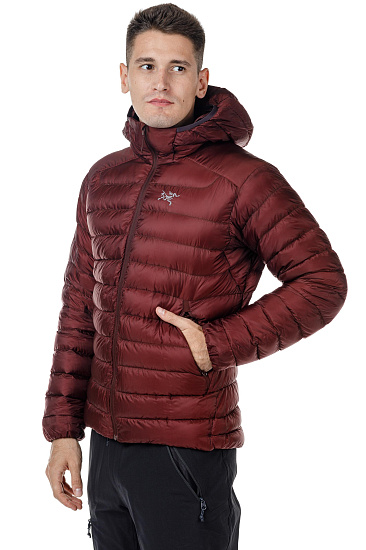 Куртка мужская Arcteryx Cerium LT Hoody Flux - Фото 10 большая