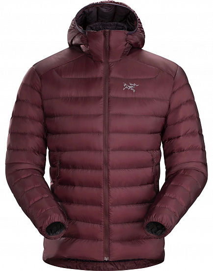 Куртка мужская Arcteryx Cerium LT Hoody Flux - Фото 1 большая