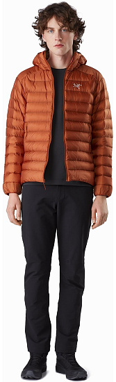 Куртка мужская Arcteryx Cerium LT Hoody Komorebi - Фото 2 большая