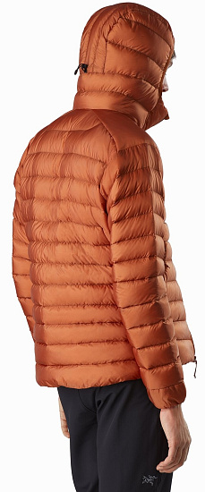 Куртка мужская Arcteryx Cerium LT Hoody Komorebi - Фото 4 большая