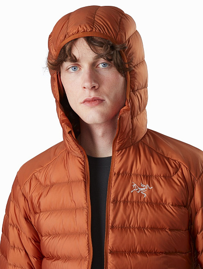 Куртка мужская Arcteryx Cerium LT Hoody Komorebi - Фото 5 большая