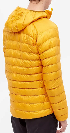 Куртка мужская Arcteryx Cerium LT Hoody Quantum - Фото 3 большая