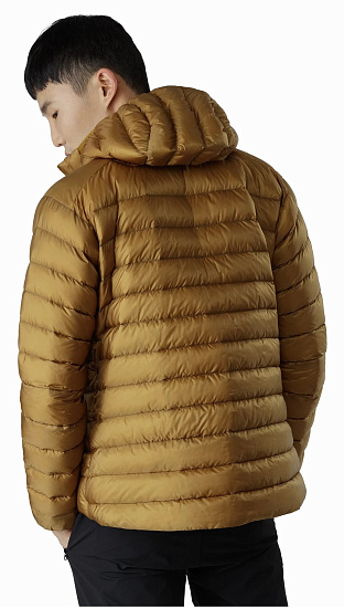Куртка мужская Arcteryx Cerium LT Hoody Yukon - Фото 2 большая