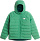 Куртка детская The North Face Reversible Perrito Hooded Dimmed Algae - Фото 1 малая