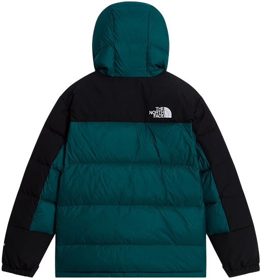 Куртка детская The North Face Himalayan Down Short Parka Pacific Teal - Фото 2 большая