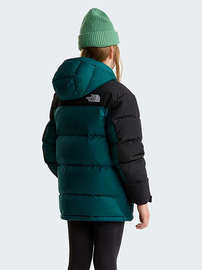 Куртка детская The North Face Himalayan Down Short Parka Pacific Teal - Фото 5 большая