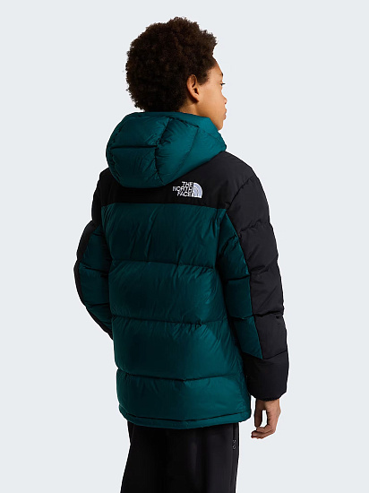 Куртка детская The North Face Himalayan Down Short Parka Pacific Teal - Фото 8 большая