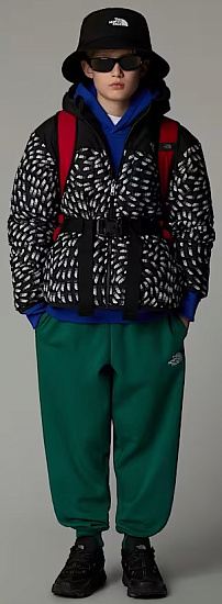 Куртка детская The North Face Reversible Shasta F/Z Hooded TNF Black Vector Field Print - Фото 7 большая