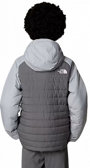 Куртка детская The North Face Never Stop Synthetic Smoked Pearl/Hi - Фото 5 большая