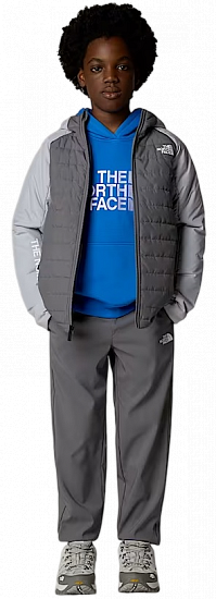 Куртка детская The North Face Never Stop Synthetic Smoked Pearl/Hi - Фото 7 большая