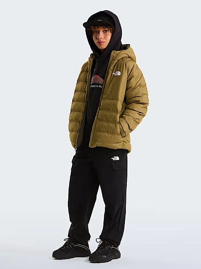 Куртка детская The North Face Reversible Perrito Hooded Cedar/New Taupe Green - Фото 12 большая