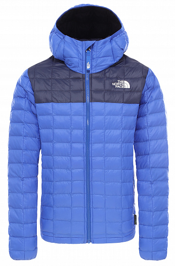 Куртка детская The North Face B Thermoball Eco Hoodie Tnf Blue - Фото 1 большая