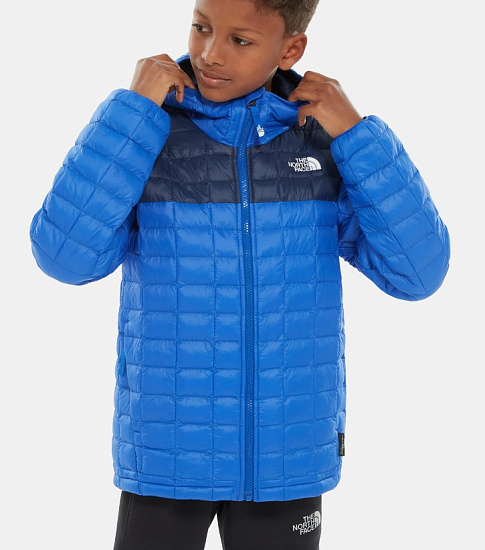 Куртка детская The North Face B Thermoball Eco Hoodie Tnf Blue - Фото 3 большая
