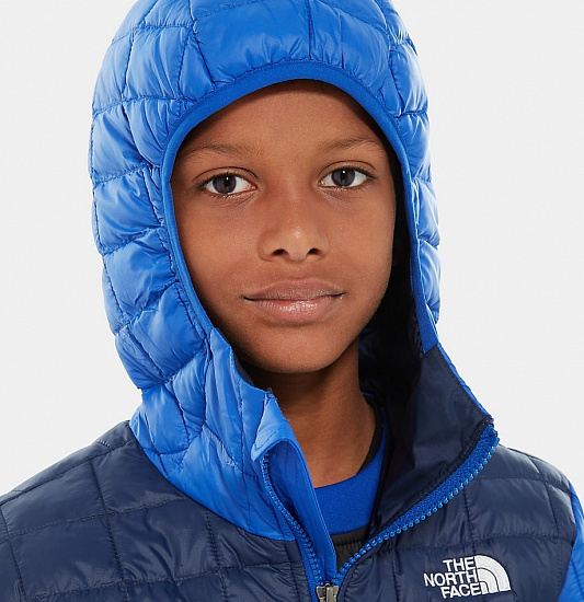 Куртка детская The North Face B Thermoball Eco Hoodie Tnf Blue - Фото 6 большая