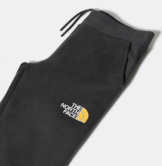 Брюки детские The North Face Drew Peak Light Asphalt Grey/Summit Gold - Фото 3 большая