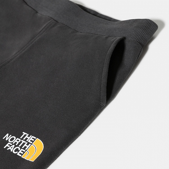 Брюки детские The North Face Drew Peak Light Asphalt Grey/Summit Gold - Фото 4 большая