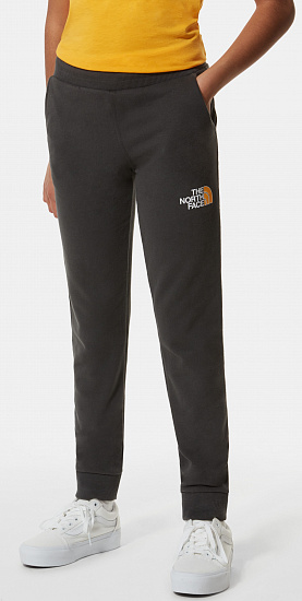 Брюки детские The North Face Drew Peak Light Asphalt Grey/Summit Gold - Фото 6 большая