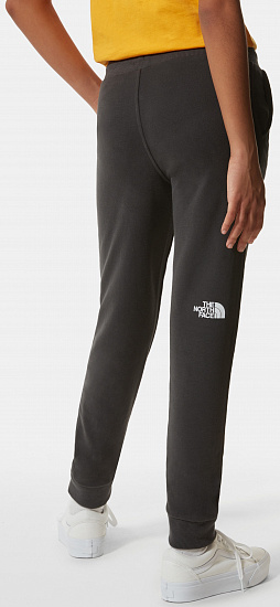 Брюки детские The North Face Drew Peak Light Asphalt Grey/Summit Gold - Фото 7 большая