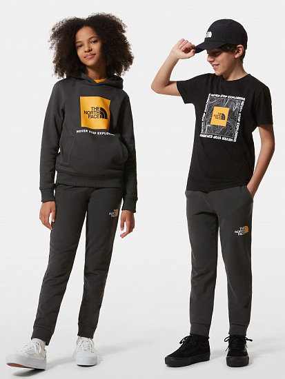 Брюки детские The North Face Drew Peak Light Asphalt Grey/Summit Gold - Фото 8 большая