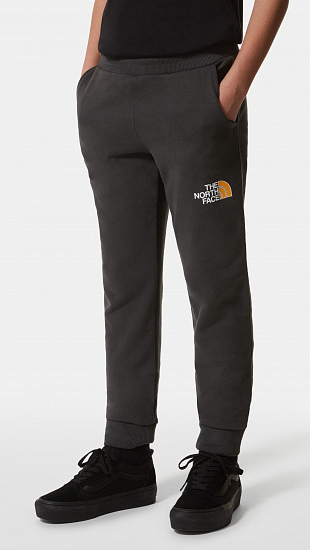 Брюки детские The North Face Drew Peak Light Asphalt Grey/Summit Gold - Фото 9 большая