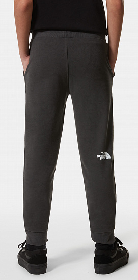 Брюки детские The North Face Drew Peak Light Asphalt Grey/Summit Gold - Фото 10 большая
