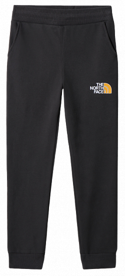 Брюки детские The North Face Drew Peak Light Asphalt Grey/Summit Gold - Фото 1 большая