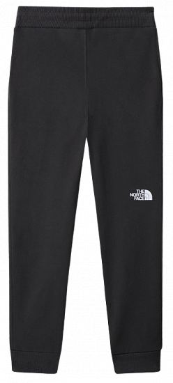 Брюки детские The North Face Drew Peak Light Asphalt Grey/Summit Gold - Фото 11 большая