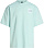 Футболка мужская The North Face Sun Oversize Graphic Opal Frost - Фото 1 малая
