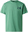 Футболка мужская The North Face Camping Relaxed Graphic Dimmed Algae - Фото 1 малая