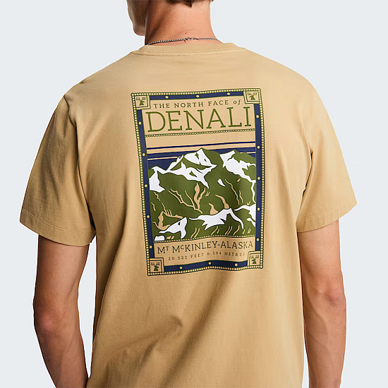 Футболка мужская The North Face North Faces Regular Graphic Khaki Stone - Фото 4 большая