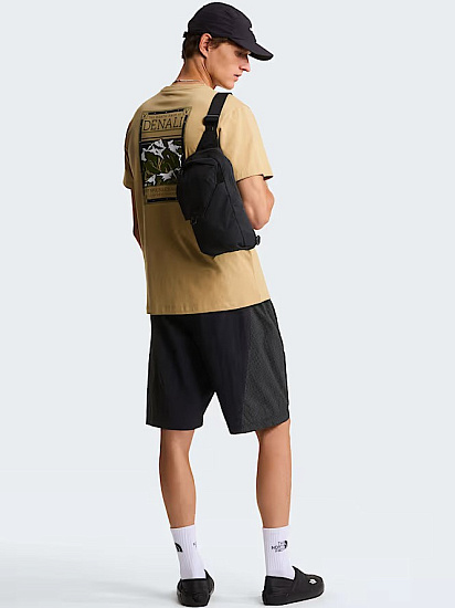 Футболка мужская The North Face North Faces Regular Graphic Khaki Stone - Фото 9 большая