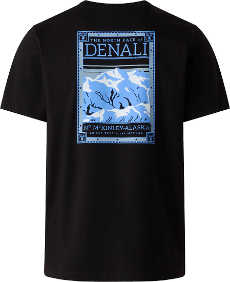 Футболка мужская The North Face North Faces Regular Graphic Tnf Black - Фото 2 большая