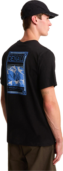 Футболка мужская The North Face North Faces Regular Graphic Tnf Black - Фото 3 большая