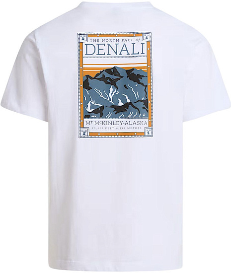 Футболка мужская The North Face North Faces Regular Graphic Tnf White - Фото 2 большая