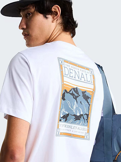 Футболка мужская The North Face North Faces Regular Graphic Tnf White - Фото 7 большая